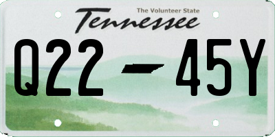 TN license plate Q2245Y