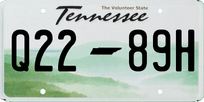 TN license plate Q2289H