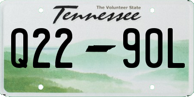 TN license plate Q2290L
