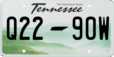 TN license plate Q2290W