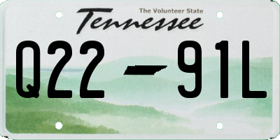 TN license plate Q2291L