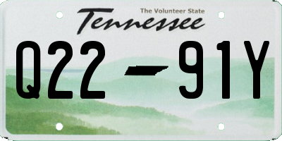 TN license plate Q2291Y