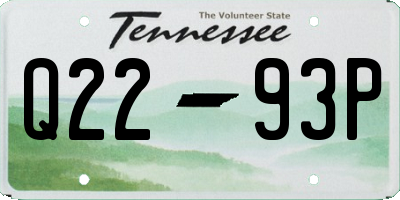 TN license plate Q2293P