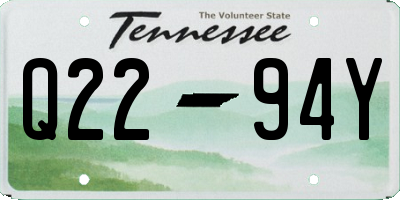 TN license plate Q2294Y