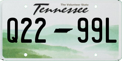 TN license plate Q2299L