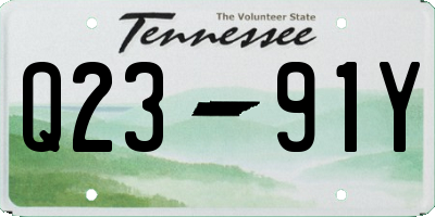TN license plate Q2391Y