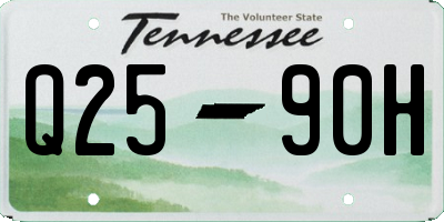 TN license plate Q2590H