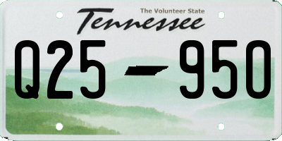 TN license plate Q2595O