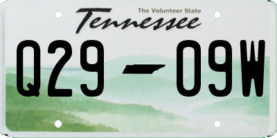 TN license plate Q2909W