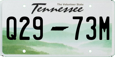 TN license plate Q2973M