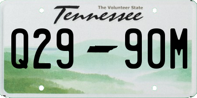 TN license plate Q2990M