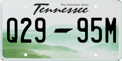 TN license plate Q2995M