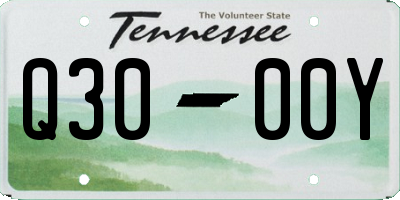 TN license plate Q3000Y