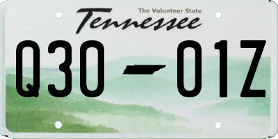 TN license plate Q3001Z