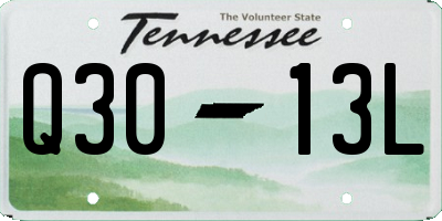TN license plate Q3013L