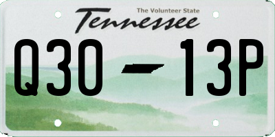 TN license plate Q3013P