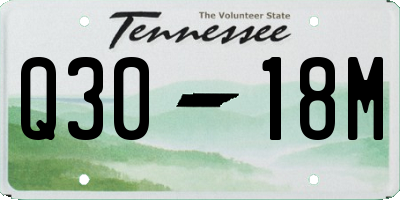TN license plate Q3018M