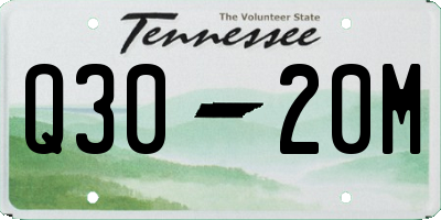TN license plate Q3020M