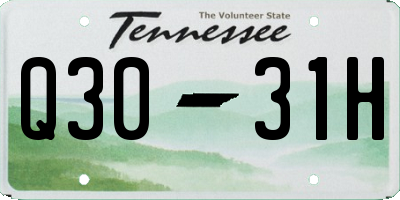 TN license plate Q3031H