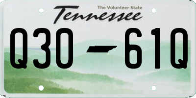 TN license plate Q3061Q
