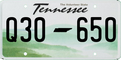 TN license plate Q3065O