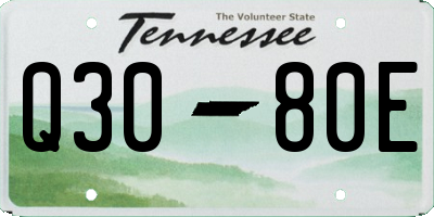 TN license plate Q3080E