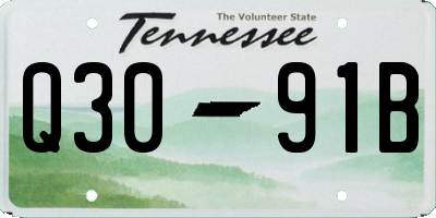 TN license plate Q3091B