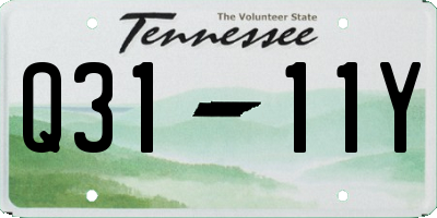TN license plate Q3111Y