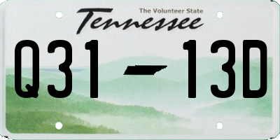 TN license plate Q3113D
