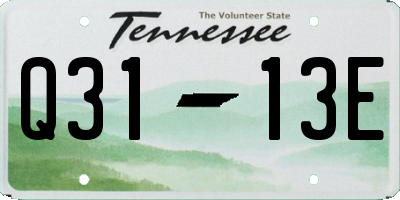TN license plate Q3113E