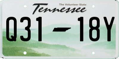 TN license plate Q3118Y