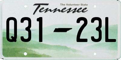 TN license plate Q3123L