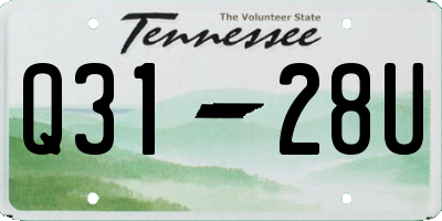 TN license plate Q3128U