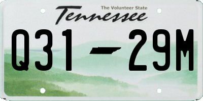 TN license plate Q3129M