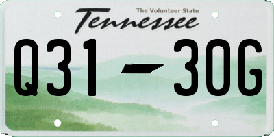 TN license plate Q3130G