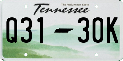 TN license plate Q3130K