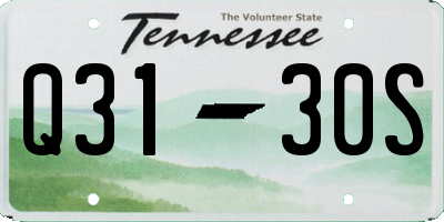 TN license plate Q3130S