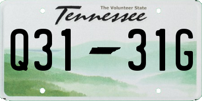 TN license plate Q3131G