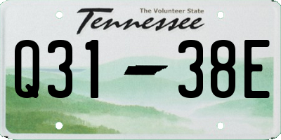 TN license plate Q3138E