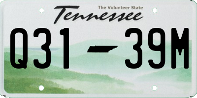 TN license plate Q3139M