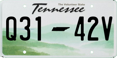TN license plate Q3142V