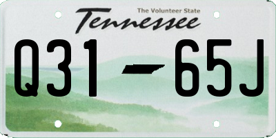 TN license plate Q3165J