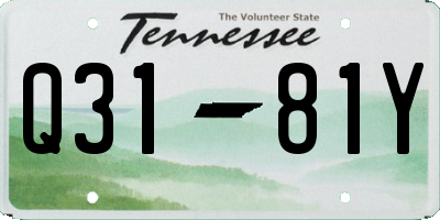 TN license plate Q3181Y