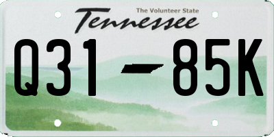 TN license plate Q3185K