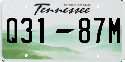 TN license plate Q3187M