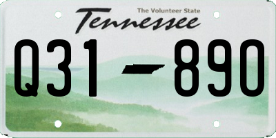 TN license plate Q3189O