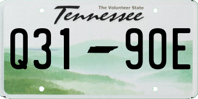 TN license plate Q3190E