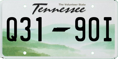 TN license plate Q3190I