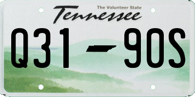 TN license plate Q3190S