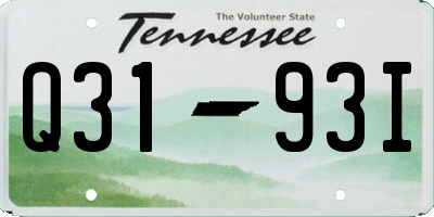 TN license plate Q3193I